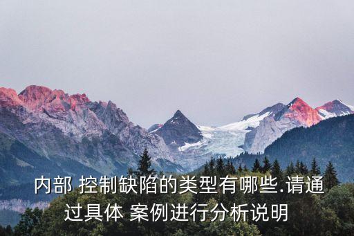  內(nèi)部 控制缺陷的類型有哪些.請通過具體 案例進行分析說明