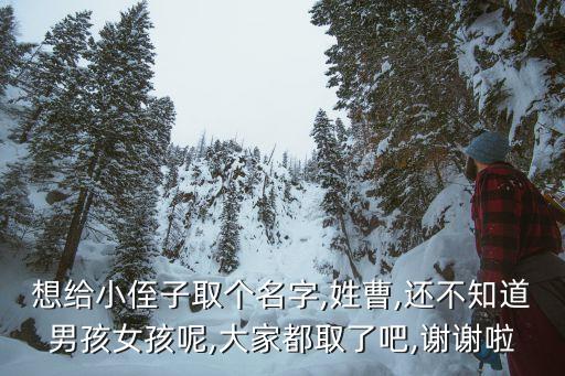 想給小侄子取個(gè)名字,姓曹,還不知道男孩女孩呢,大家都取了吧,謝謝啦