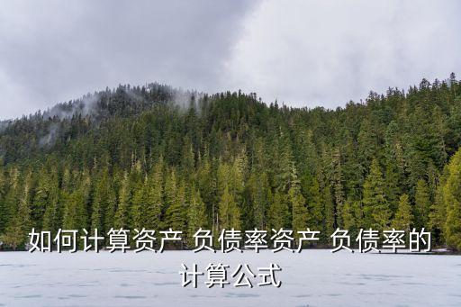 總負(fù)債