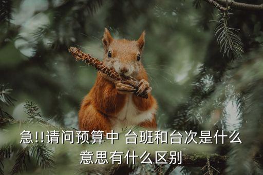 臺班