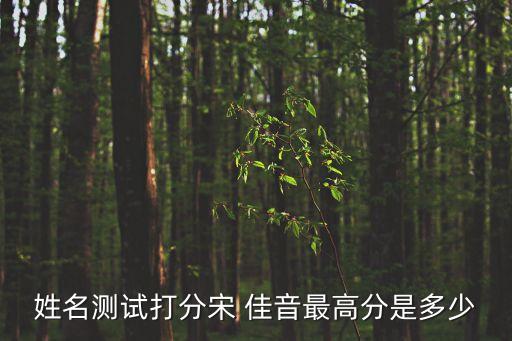 姓名測試打分宋 佳音最高分是多少