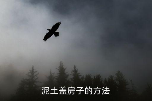 農(nóng)村土房