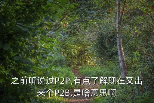 p2b