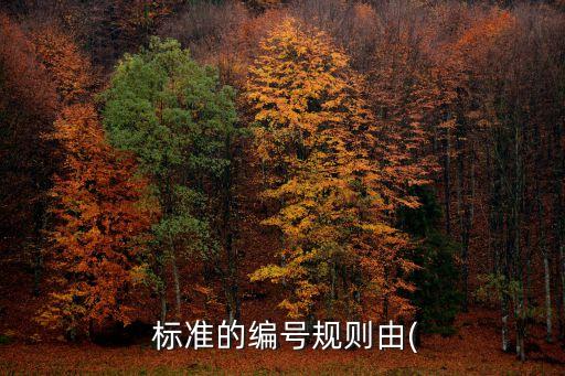  標(biāo)準(zhǔn)的編號規(guī)則由(
