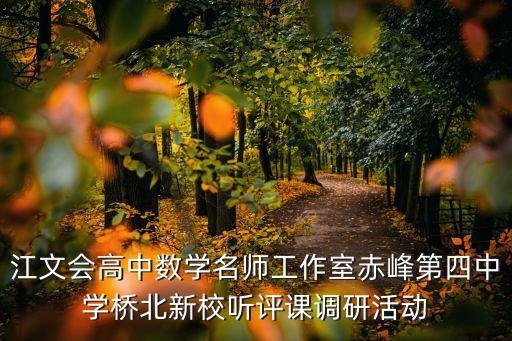 江文會高中數(shù)學名師工作室赤峰第四中學橋北新校聽評課調研活動