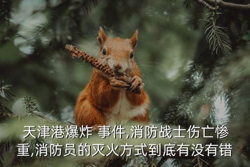  天津港爆炸 事件,消防戰(zhàn)士傷亡慘重,消防員的滅火方式到底有沒有錯