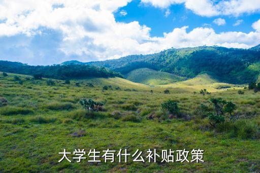  大學(xué)生有什么補(bǔ)貼政策