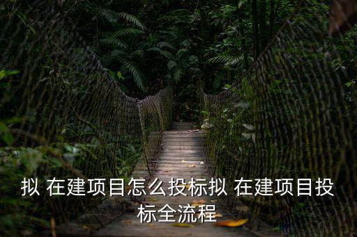 擬 在建項(xiàng)目怎么投標(biāo)擬 在建項(xiàng)目投標(biāo)全流程