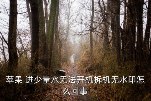 蘋果 進少量水無法開機拆機無水印怎么回事