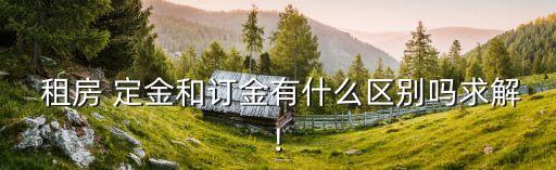  租房 定金和訂金有什么區(qū)別嗎求解!
