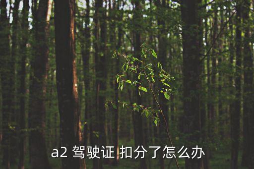  a2 駕駛證 扣分了怎么辦