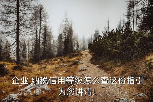  企業(yè) 納稅信用等級怎么查這份指引為您講清!