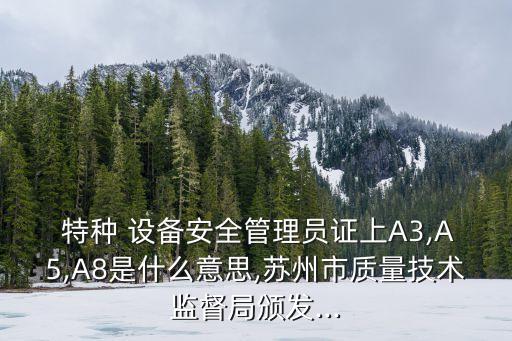 特種設(shè)備安全管理人員證