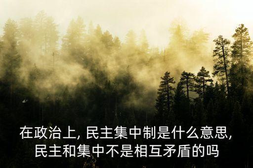 民主集中制的含義