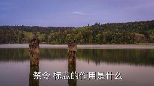 禁令 標(biāo)志的作用是什么