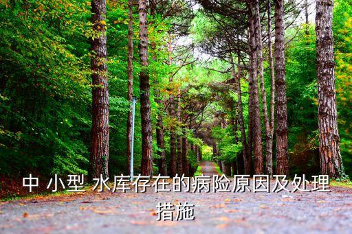小型水庫