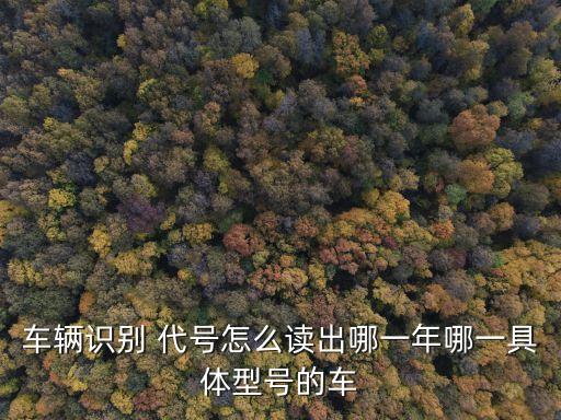 車輛識(shí)別 代號(hào)怎么讀出哪一年哪一具體型號(hào)的車