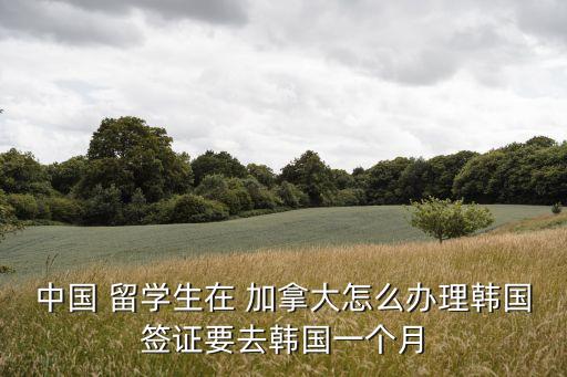 中國 留學(xué)生在 加拿大怎么辦理韓國簽證要去韓國一個月