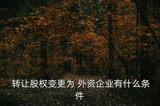  轉讓股權變更為 外資企業(yè)有什么條件