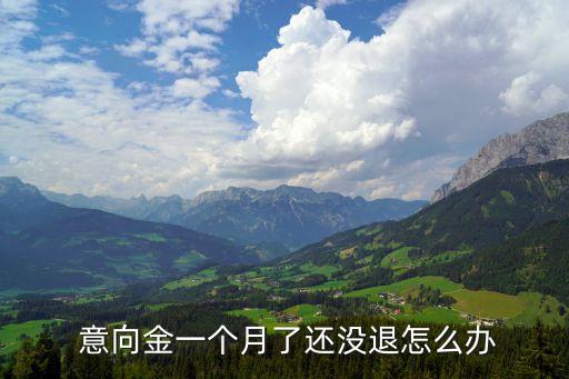  意向金一個月了還沒退怎么辦