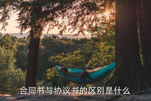 不具備法律效力的經(jīng)濟(jì)契約文書(shū)是,什么是契約性文書(shū),具有法律效力