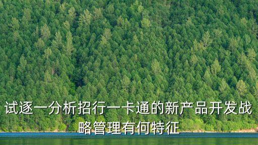 試逐一分析招行一卡通的新產(chǎn)品開發(fā)戰(zhàn)略管理有何特征
