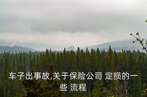 車輛定損流程,保險公司車輛定損流程