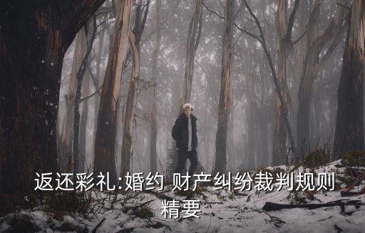 法院返還財(cái)產(chǎn)的相關(guān)規(guī)定是什么,刑事被害人財(cái)產(chǎn)返還相關(guān)規(guī)定
