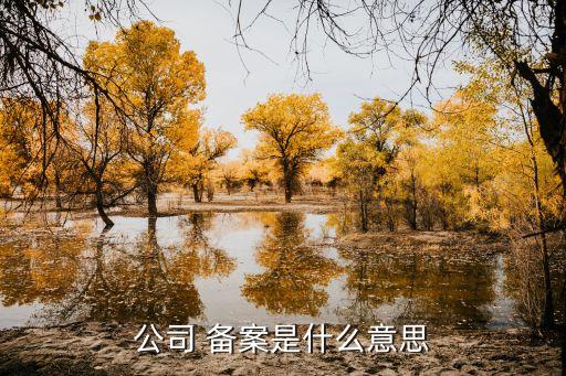 法規(guī)規(guī)章備案條例,法律法規(guī)規(guī)章條例辦法的區(qū)別