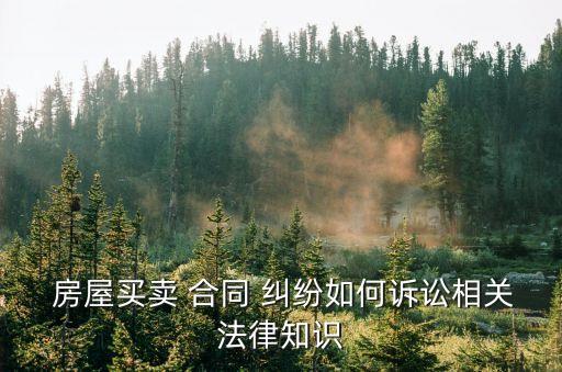  房屋買賣 合同 糾紛如何訴訟相關法律知識