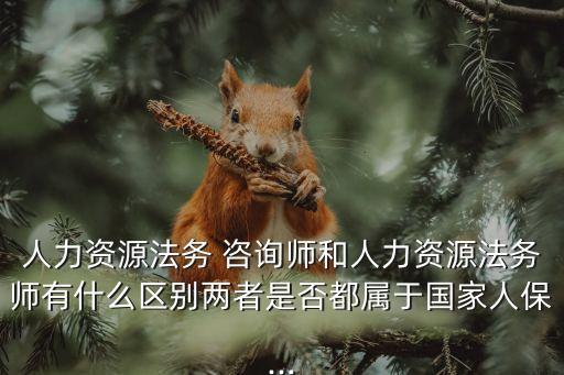 人力資源法務 咨詢師和人力資源法務師有什么區(qū)別兩者是否都屬于國家人保...