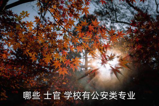 哪些 士官 學(xué)校有公安類專業(yè)