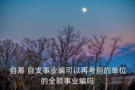 自籌自支,公益一類事業(yè)單位自籌自支