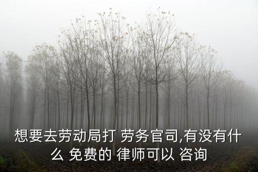 想要去勞動(dòng)局打 勞務(wù)官司,有沒有什么 免費(fèi)的 律師可以 咨詢
