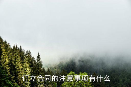  訂立合同的注意事項(xiàng)有什么