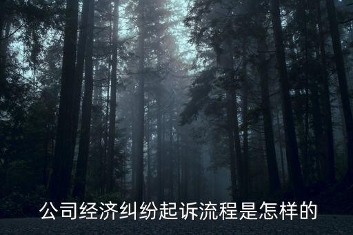 公司訴訟