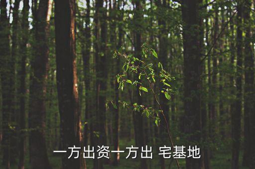 一方出資一方出 宅基地