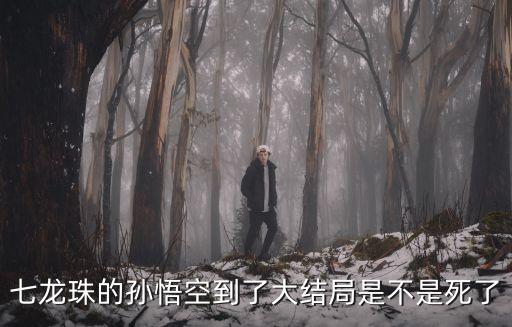 七龍珠的孫悟空到了大結(jié)局是不是死了