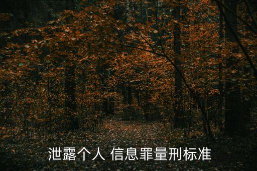  泄露個人 信息罪量刑標準