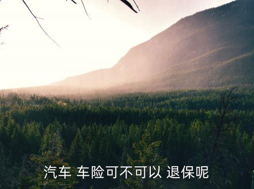 汽車 車險(xiǎn)可不可以 退保呢