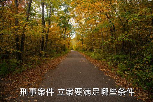 刑事案件 立案要滿足哪些條件