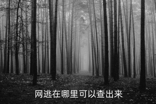 網(wǎng)逃