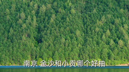 南京 金沙和小貢哪個(gè)好抽