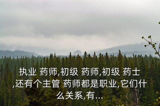 執(zhí)業(yè) 藥師,初級(jí) 藥師,初級(jí) 藥士,還有個(gè)主管 藥師都是職業(yè),它們什么關(guān)系,有...