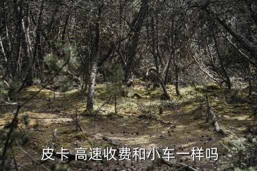  皮卡 高速收費(fèi)和小車一樣嗎