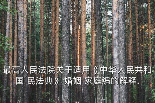 最高人民法院關于適用《中華人民共和國 民法典》 婚姻 家庭編的解釋...