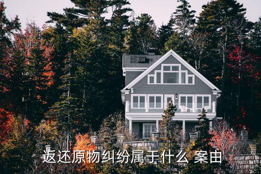  返還原物糾紛屬于什么 案由