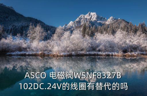 ASCO 電磁閥WSNF8327B102DC.24V的線圈有替代的嗎
