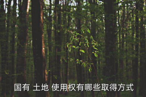 國有土地使用權(quán)