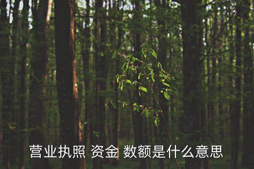 營業(yè)執(zhí)照 資金 數(shù)額是什么意思